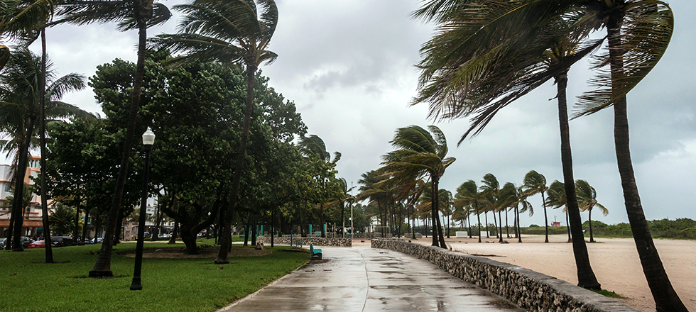 Tropical storm on road by beach